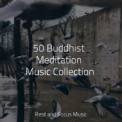 50 Buddhist Meditation Music Collection