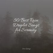 50 Best Rain Droplet Songs for Serenity