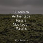 50 Música Ambientada Para la Meditación Paraíso