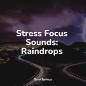 Stress Focus Sounds: Raindrops