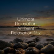 Ultimate Relaxation Ambient Relaxation Mix