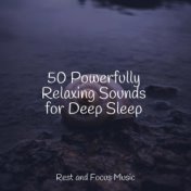 50 Powerfully Relaxing Sounds for Deep Sleep