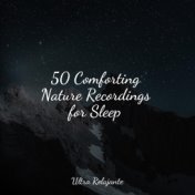 50 Comforting Nature Recordings for Sleep