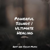 Powerful Sounds | Ultimate Healing