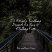 50 Deeply Soothing Sounds for Spa & Chilling Out