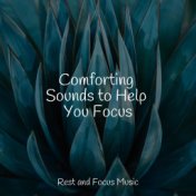 Comforting Sounds to Help You Focus