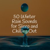 50 Winter Rain Sounds for Sleep and Chilling Out