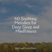 50 Soothing Melodies for Deep Sleep and Mindfulness