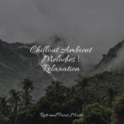 Chillout Ambient Melodies | Relaxation