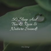 50 Sleep Aid Tracks: Rain & Nature Sounds