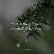 Comforting Rain Sounds for Sleep