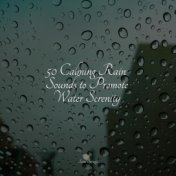 50 Calming Rain Sounds to Promote Water Serenity