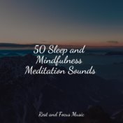 50 Sleep and Mindfulness Meditation Sounds