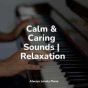 Calm & Caring Sounds | Relaxation