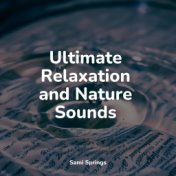 Ultimate Relaxation and Nature Sounds