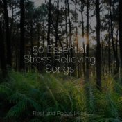 50 Essential Stress Relieving Songs