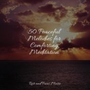 50 Peaceful Melodies for Comforting Meditation