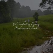 50 Comforting Spring Rainstorm Tracks