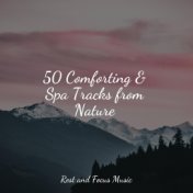 50 Comforting & Spa Tracks from Nature