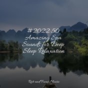 #2022 50 Amazing Spa Sounds for Deep Sleep Relaxation