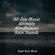 60 Zen Music Ultimate Mindfulness Rain Sounds