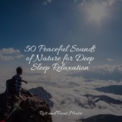 50 Peaceful Sounds of Nature for Deep Sleep Relaxation