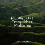 Paz Absoluta & Tranquilidad & Meditación