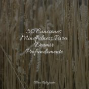 50 Canciones Mindfulness Para Dormir Profundamente