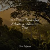 50 Pistas Para Una Mente y Alma en Paz