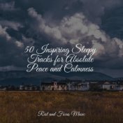 50 Inspiring Sleepy Tracks for Absolute Peace and Calmness