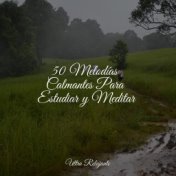 50 Melodías Calmantes Para Estudiar y Meditar