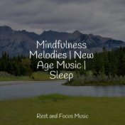 Mindfulness Melodies | New Age Music | Sleep