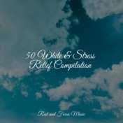 50 White & Stress Relief Compilation