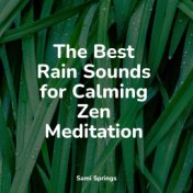 The Best Rain Sounds for Calming Zen Meditation