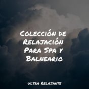 Colección de Relajación Para Spa y Balneario