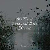 50 Focus Binaural Theta Waves