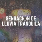 Sensación de Lluvia Tranquila