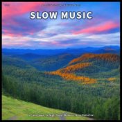 ! ! ! ! Slow Music to Calm Down, for Night Sleep, Wellness, Noise Reduction