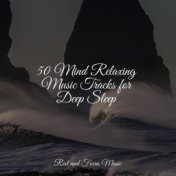 50 Mind Relaxing Music Tracks for Deep Sleep