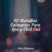 50 Melodías Calmantes Para Spa y Chill Out