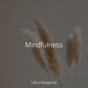 Mindfulness