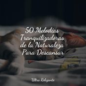 50 Melodías Tranquilizadoras de la Naturaleza Para Descansar