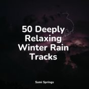 50 Deeply Relaxing Winter Rain Tracks