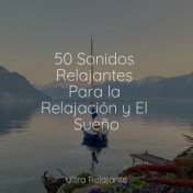 50 Sonidos Relajantes Para la Relajación y El Sueño