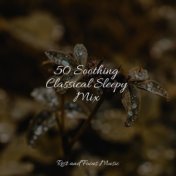 50 Soothing Classical Sleepy Mix