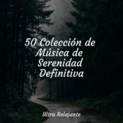 50 Colección de Música de Serenidad Definitiva