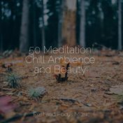 50 Meditation Chill Ambience and Beauty