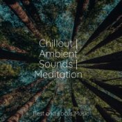 Chillout | Ambient Sounds | Meditation