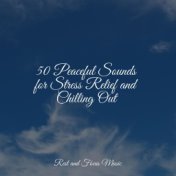 50 Peaceful Sounds for Stress Relief and Chilling Out