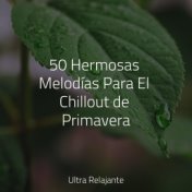 50 Hermosas Melodías Para El Chillout de Primavera